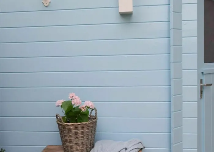 Cozy House With Sauna In Oostkapelle With Forest